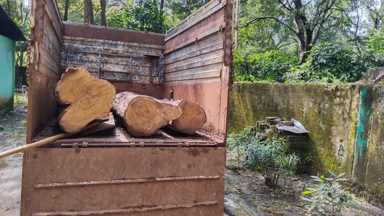Operation Forest Mafia: Pickup carrying illegal teak wood seized, smuggler absconding