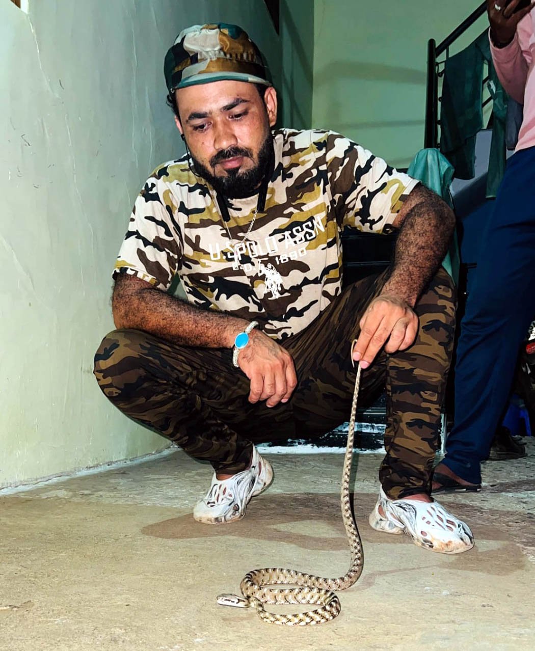 Successful rescue of a rare species of mildly venomous snake