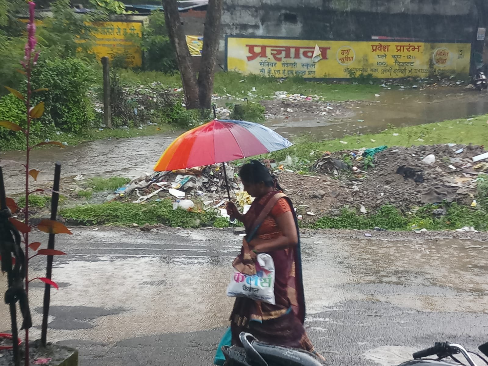 Thunderstorms and rain today, similar weather expected tomorrow