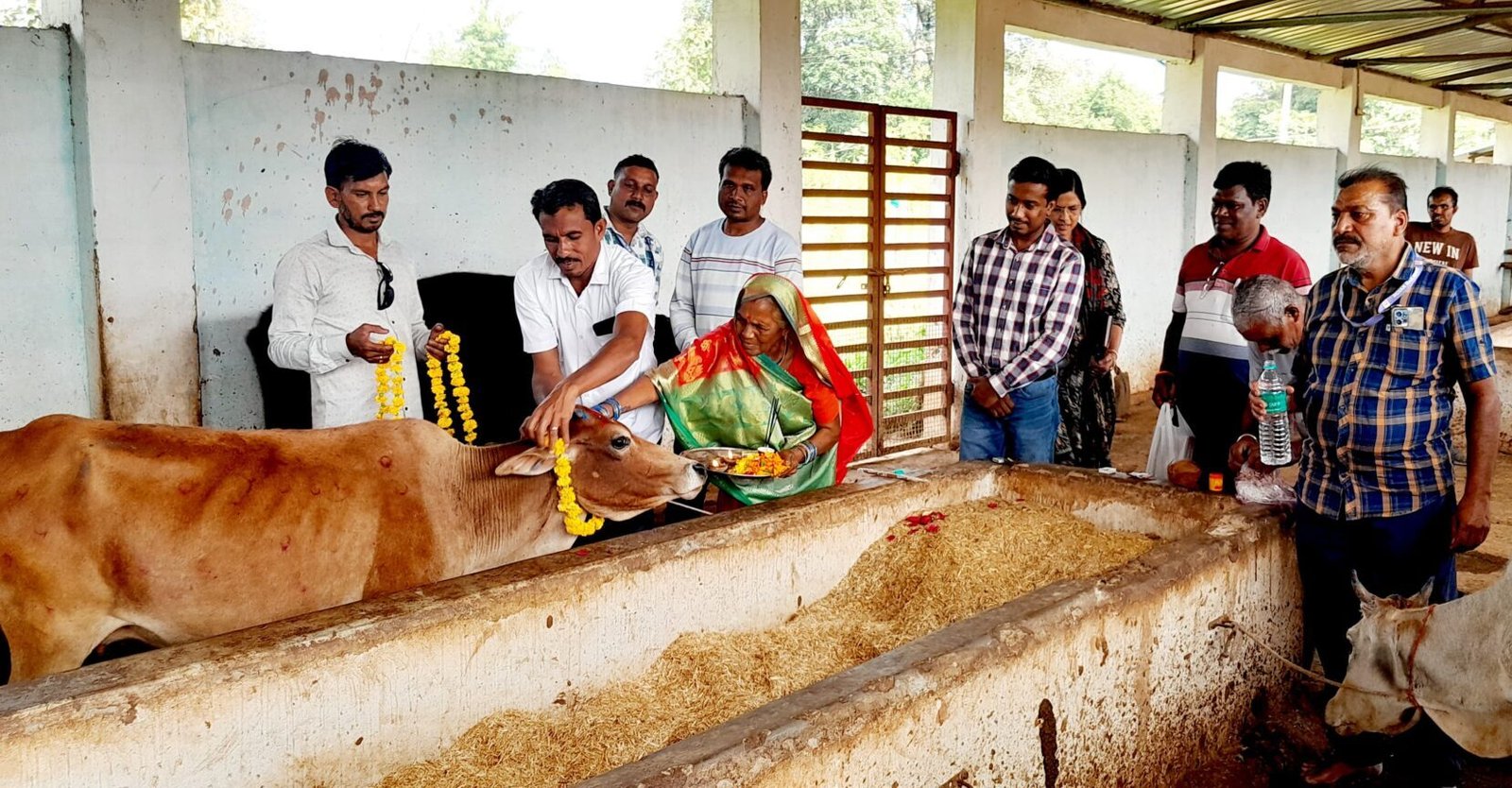 Govardhan Puja was organised at the Government Gaushala in Kesla, public representatives and officials participated.