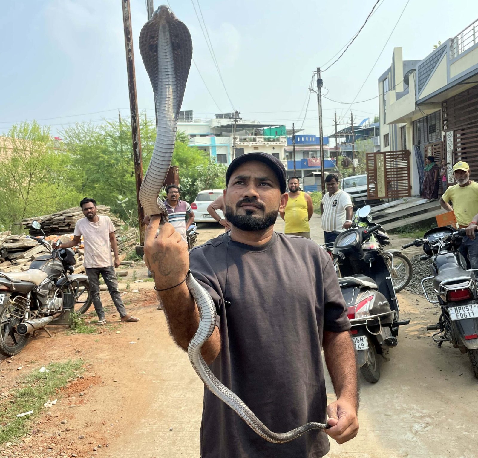 A 4-foot-long venomous cobra was rescued from a house under construction and safely rehabilitated by a snake charmer.