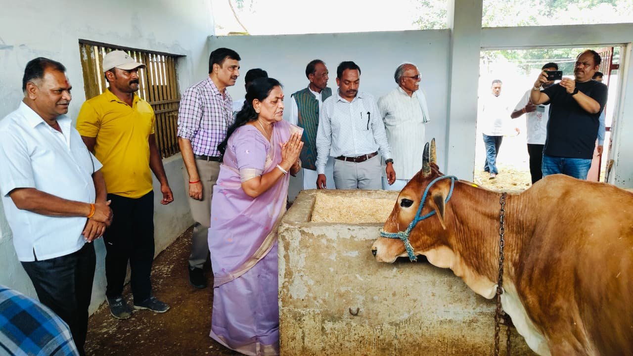 Rajya Sabha MP Maya Narolia performed Govardhan Puja and cow worship at the village Randhal Gaushala.