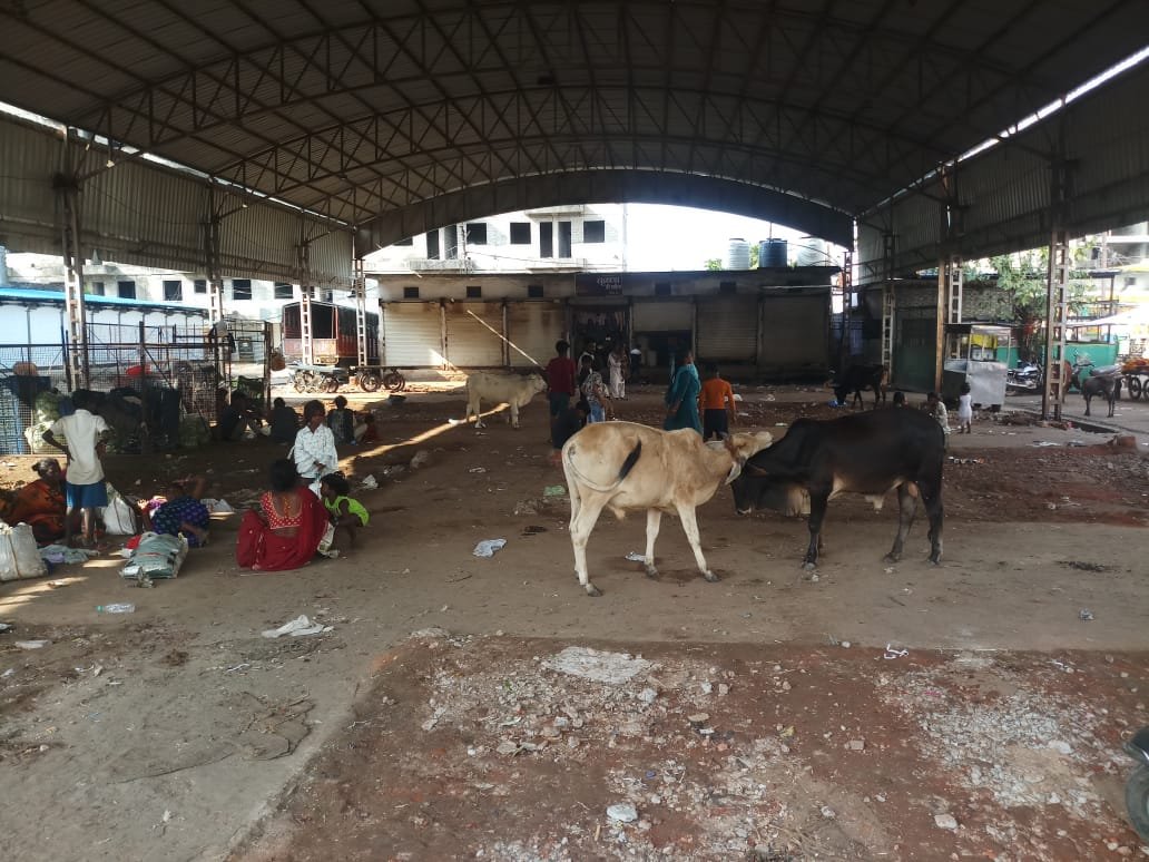 लाखों के चबूतरे तोड़ दिए, फिर भी सड़कों पर 'राज' कर रहे फल विक्रेता 1 Platforms worth lakhs have been demolished, yet fruit vendors continue to rule the streets.