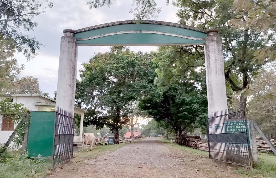 Big question on the security of Narmadapuram Forest Department, teak worth lakhs missing from Taku depot!