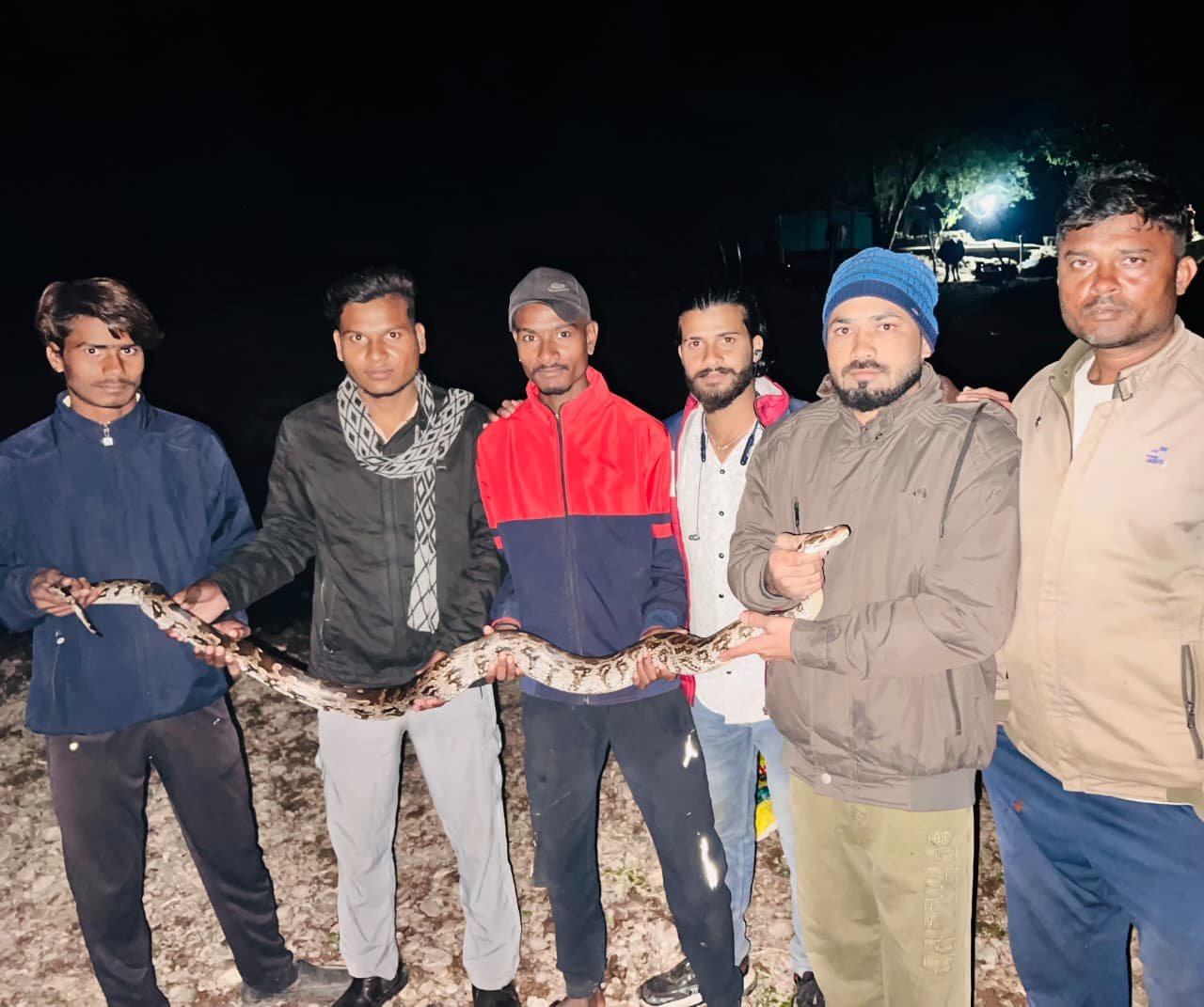 A 6-foot-long python was caught and rescued from the riverbank in Tikhad village.