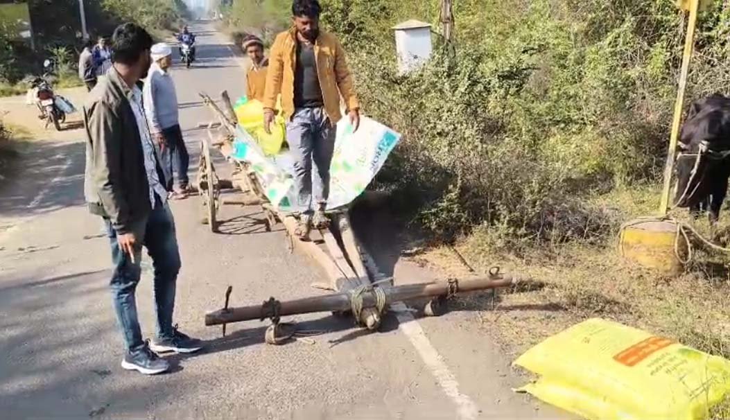 A bull roamed the Diesel Shed Road, like death, and a farmer's bullock cart overturned, spilling urea into a drain.