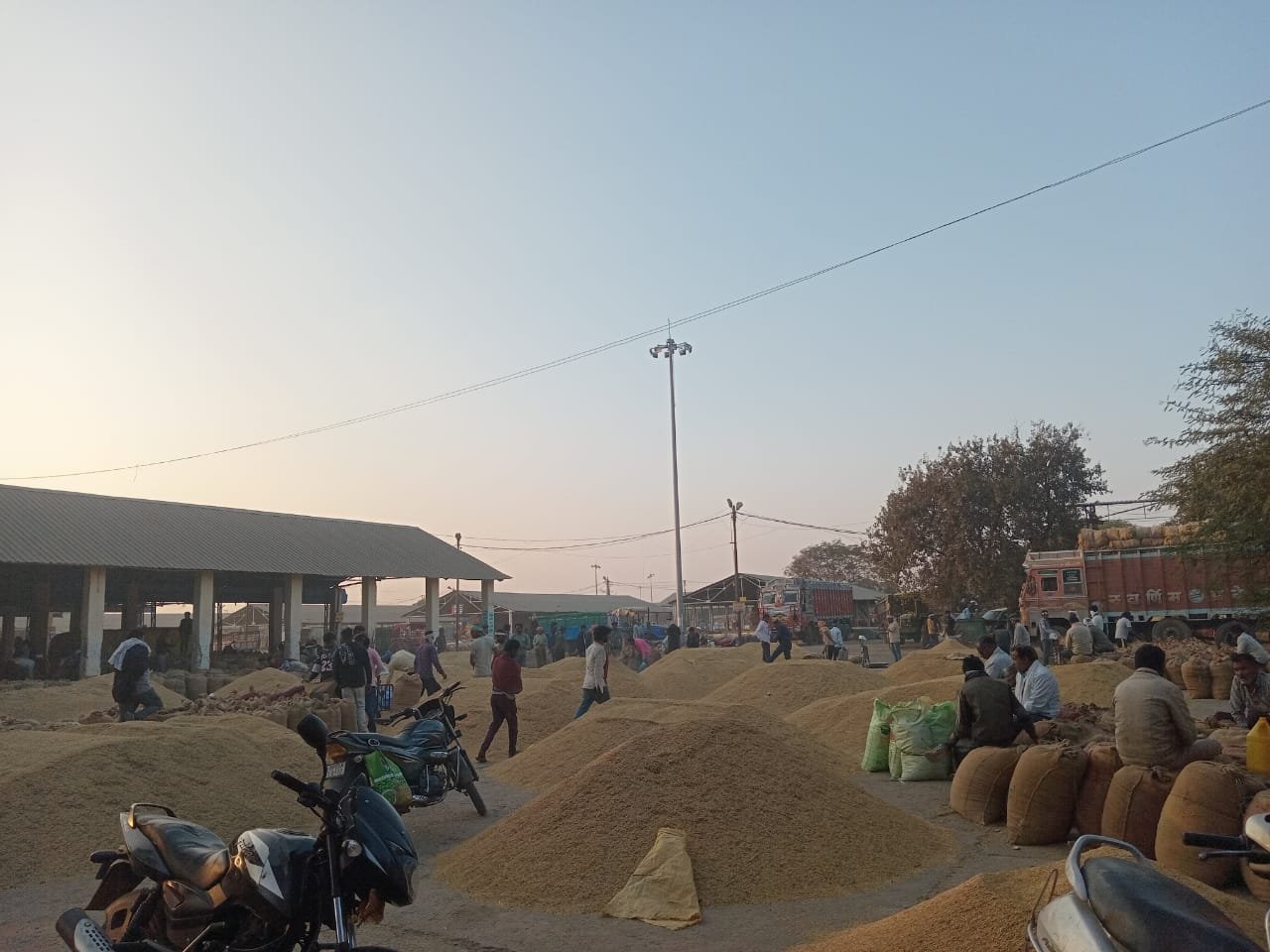 Bhavantar soybean will not be sold in the market from December 30 to January 1, due to portal maintenance.