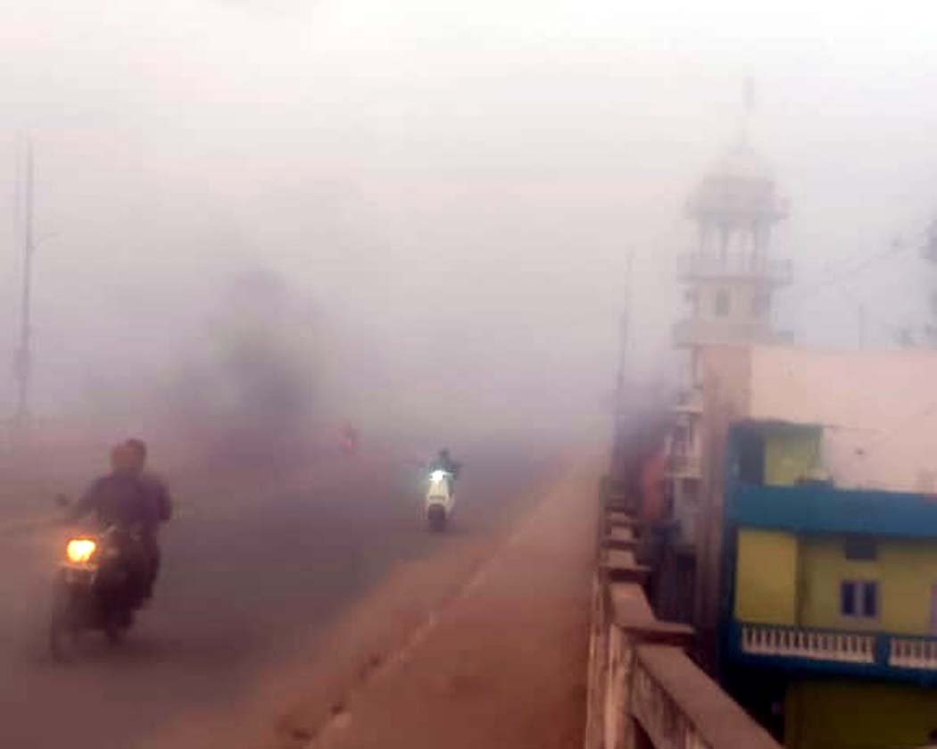 Embracing nature: A blanket of fog and chilling cold winds for the first time, Narmada region now has mountain-like weather.