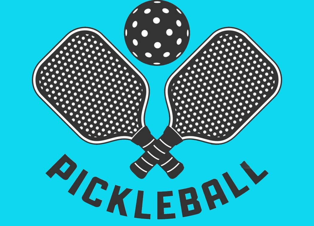 Narmadapuram Pickleball Association formed in Itarsi, Jaggi becomes president