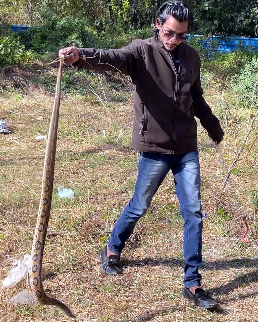 Itarsi: Russell's Viper rescued from CPE campus, released safely into the wild