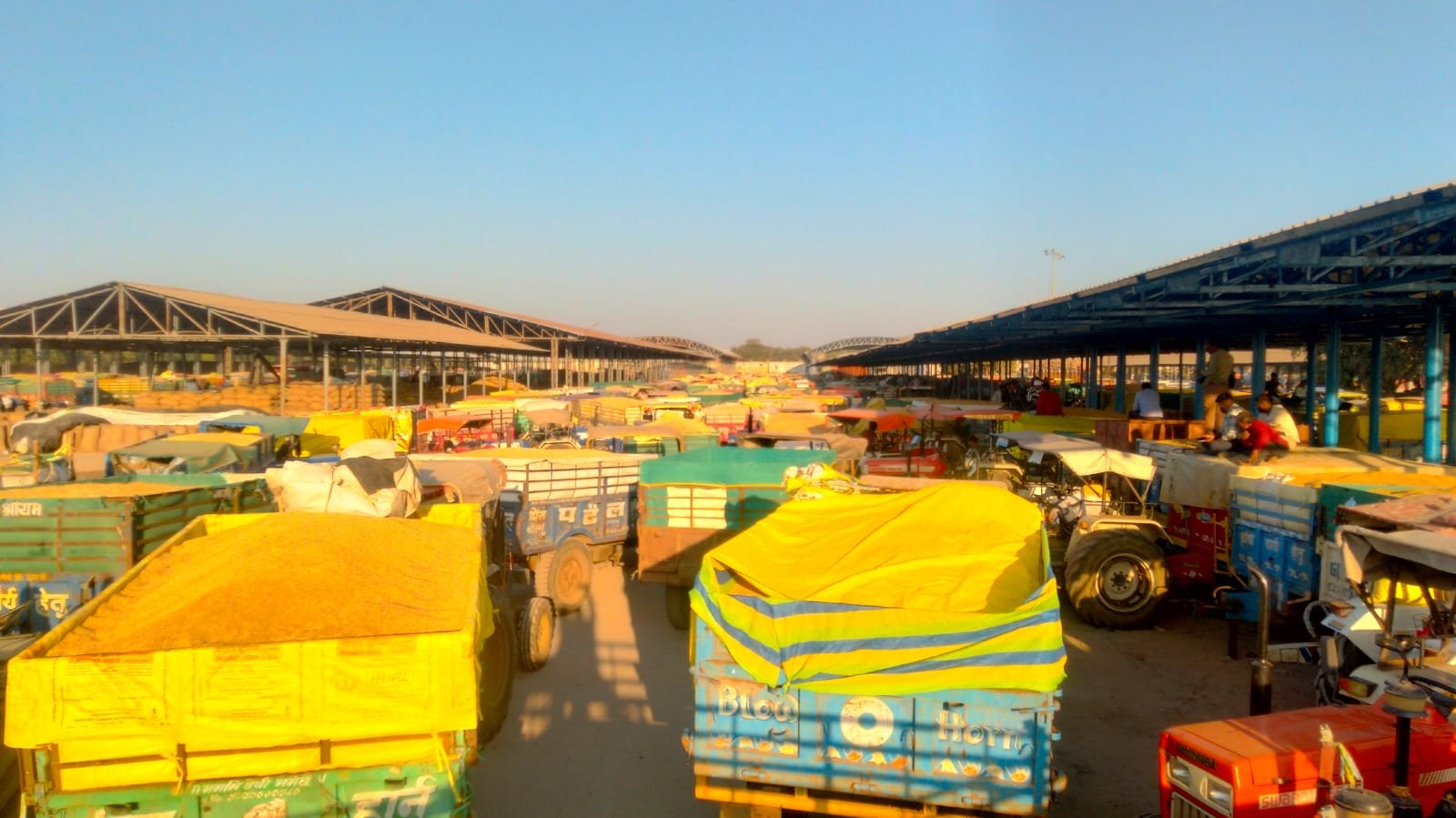 Over 1,000 trolleys jammed the agricultural produce market, leaving farmers stranded for hours.