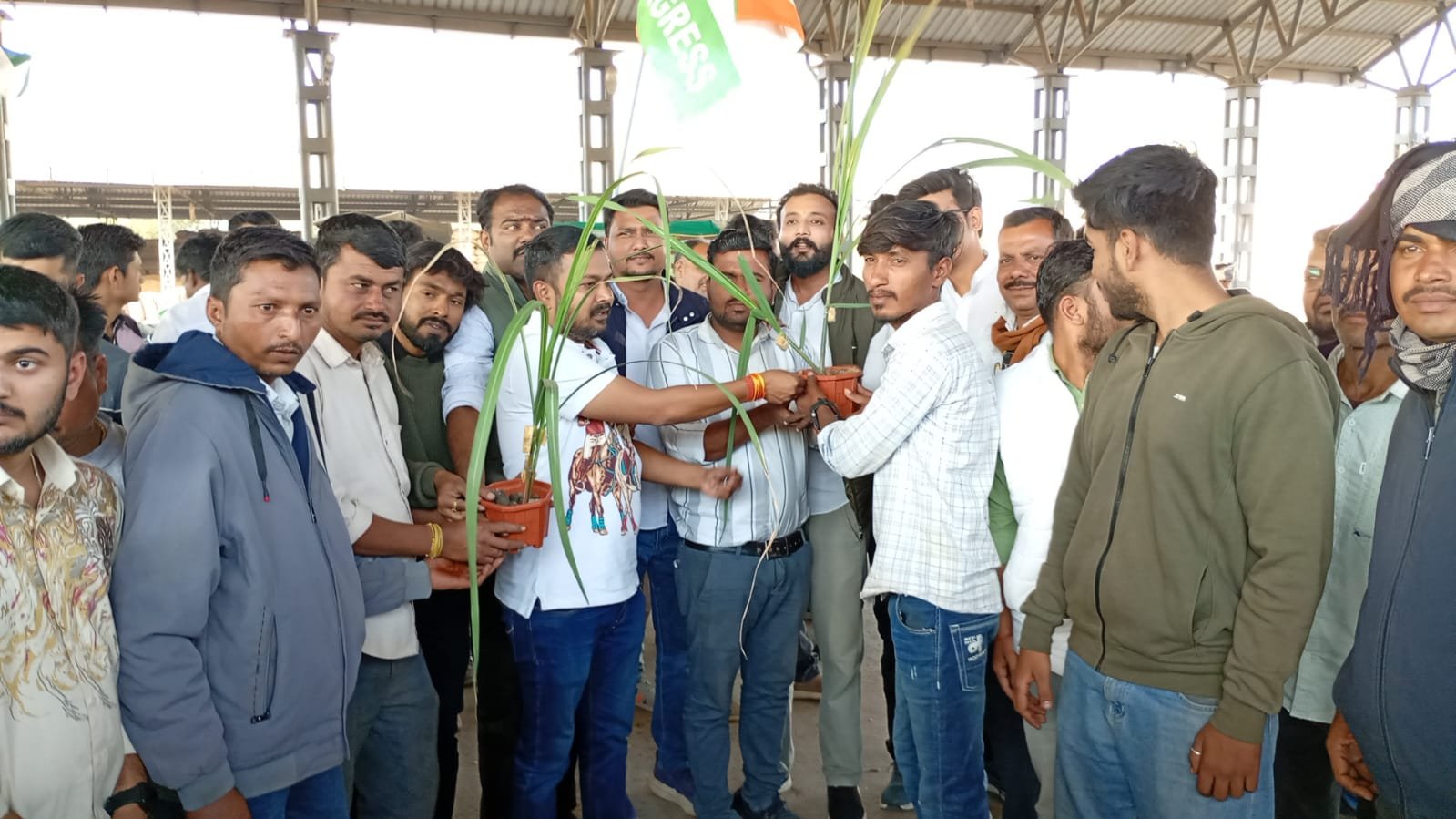 A unique demonstration by hanging jaggery on a sugarcane plant, the Youth Congress targeted everyone from Shivraj to Mohan Yadav.