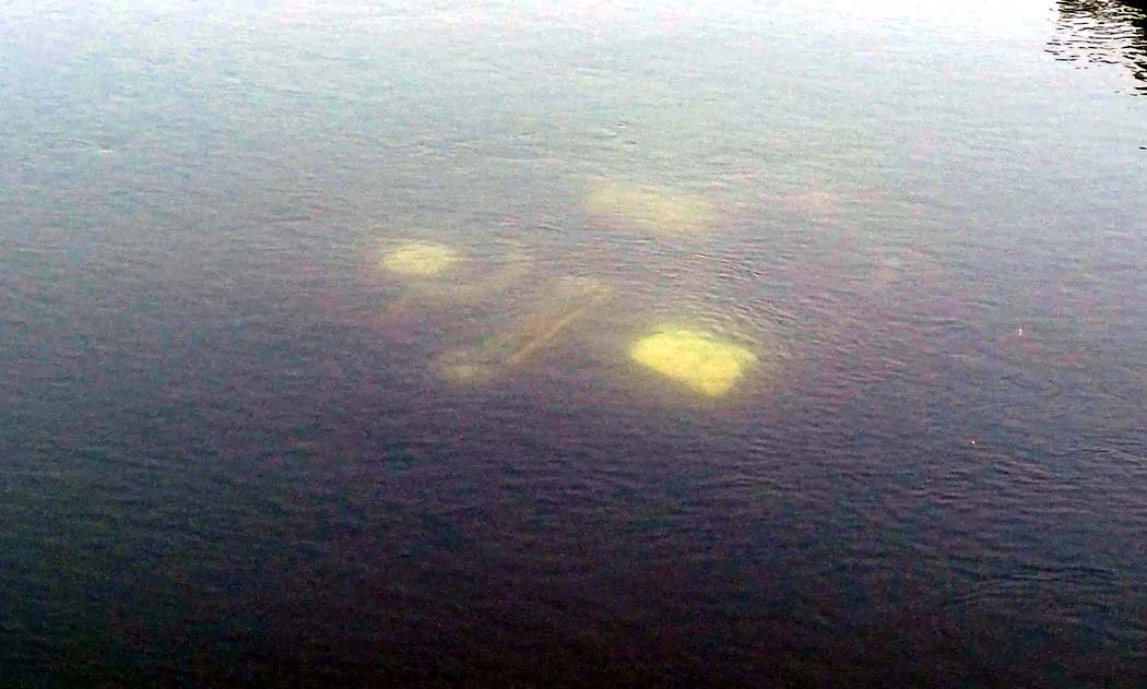 Uncontrolled auto falls into Tawa canal, news of missing youth creates panic, police investigation continues