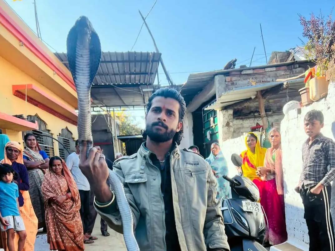 A 4-foot cobra was found on the roof of a house in Bangania, and snake friends safely rescued it.