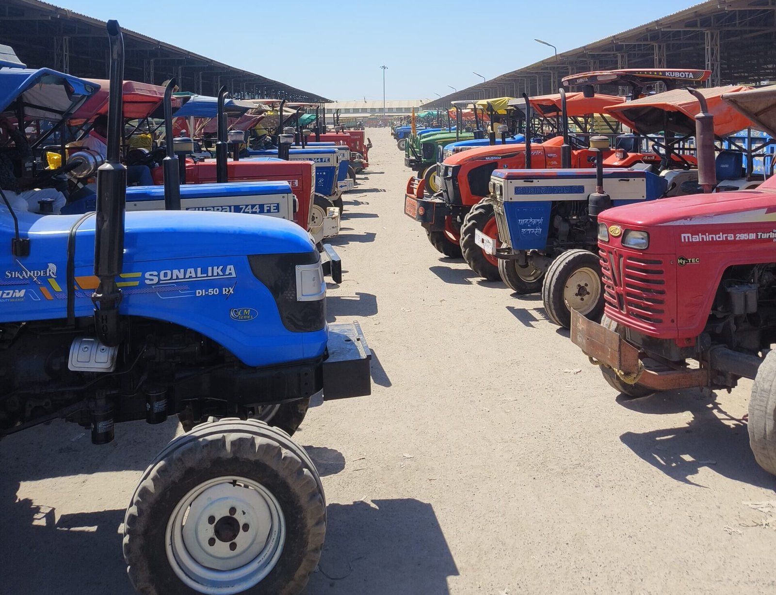 Maize and rice prices surge, farmers' faces brighten as tokenless sales continue