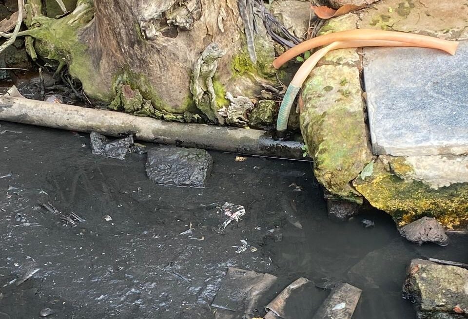 Ward 26 faces the threat of toxic water, with pipelines running between drains spreading diseases.