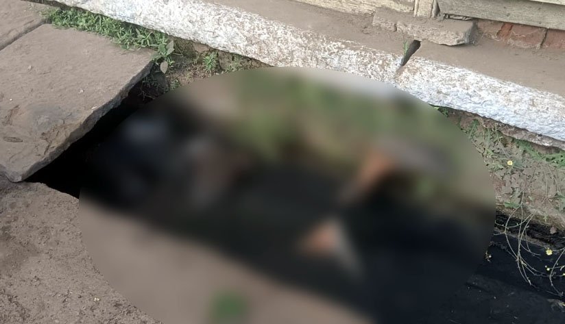 The body of a young man was found in a drain near Maheshwari Bhawan in Surajganj, causing a sensation in the area.