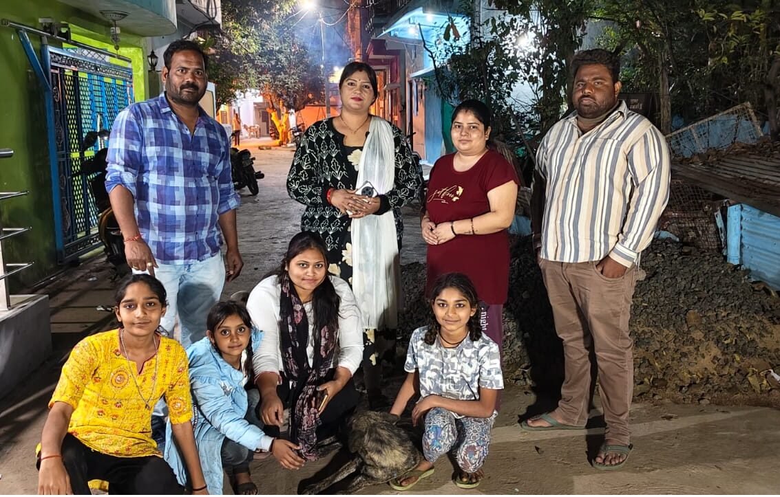 A unique initiative by dog ​​lovers: Stray dogs in various wards of the city were vaccinated.