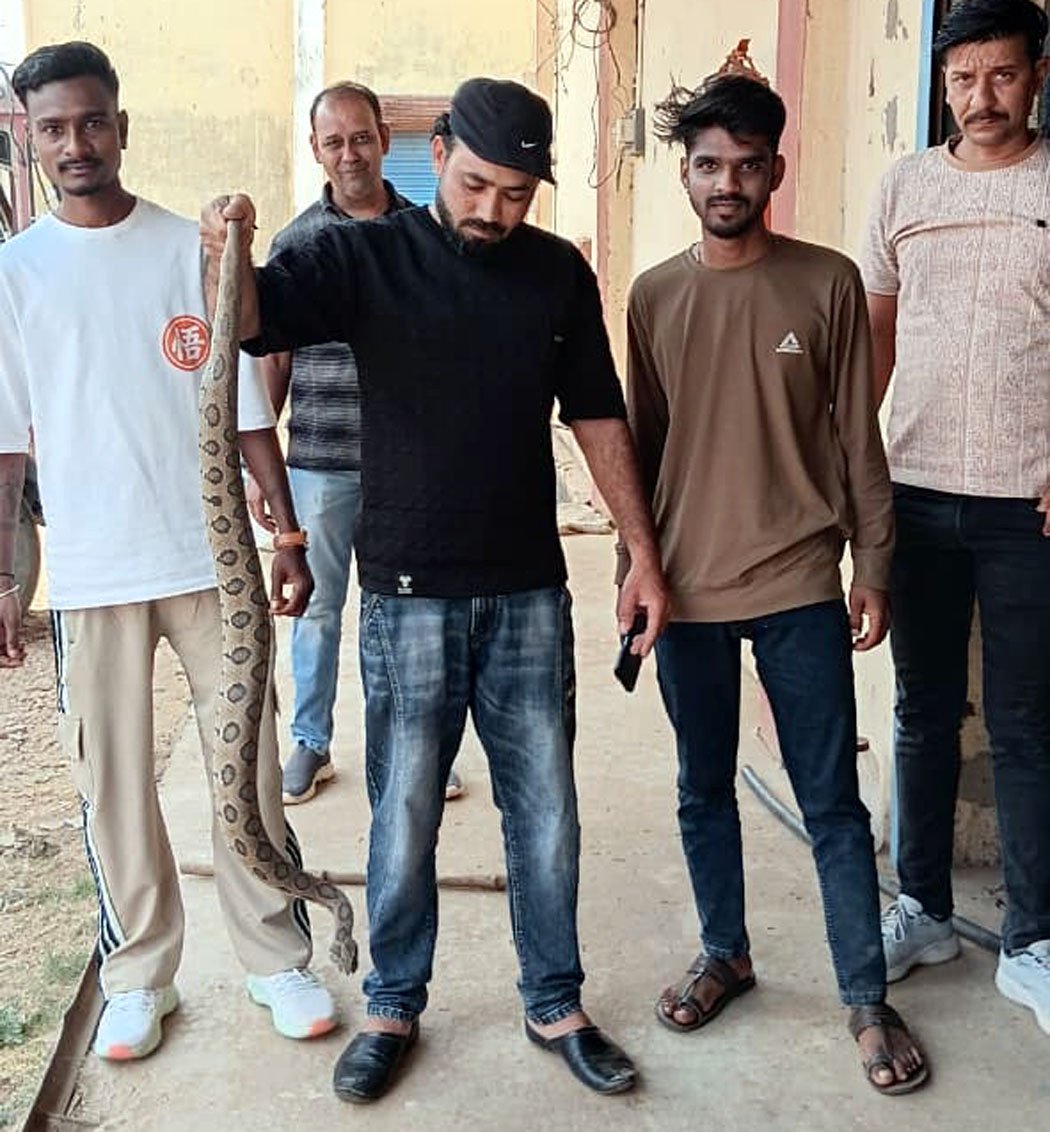 Asia's most venomous snake found in a warehouse, rescued safely by a forest department team