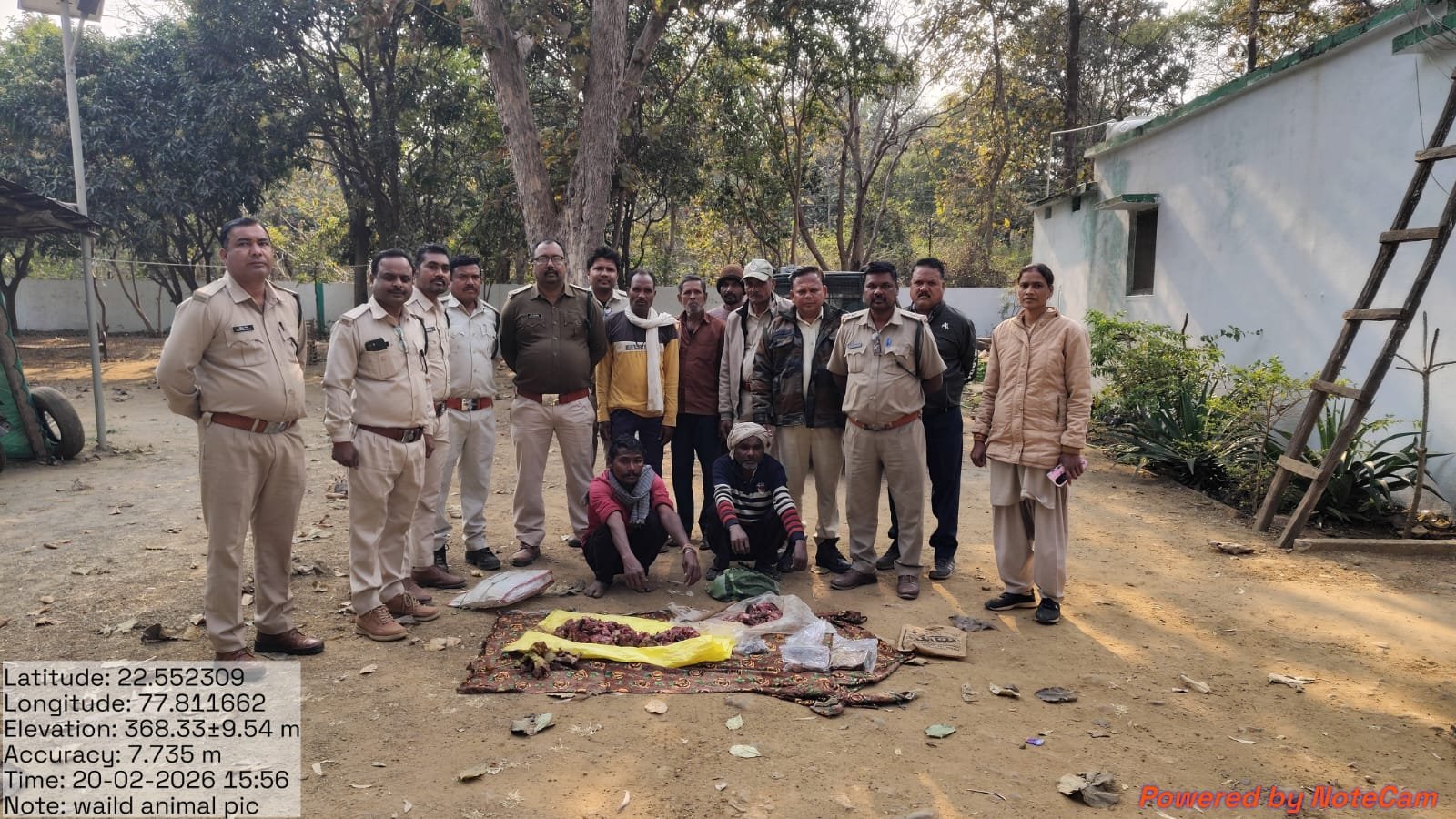 Two accused of hunting wild boar arrested, sent to jail