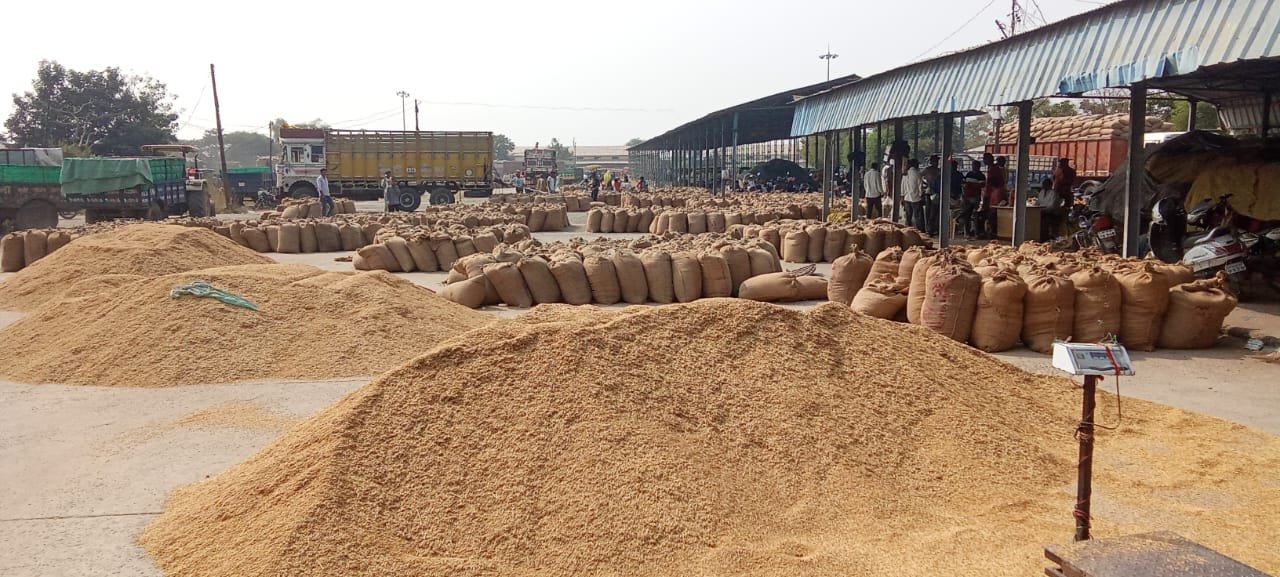 Even after the holidays were cancelled, the arrivals at Itarsi Mandi remained sluggish and far behind the target.