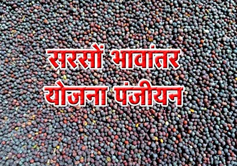 Instructions for thorough verification of Mustard Bhavantar Yojana registration, now to start from April 1