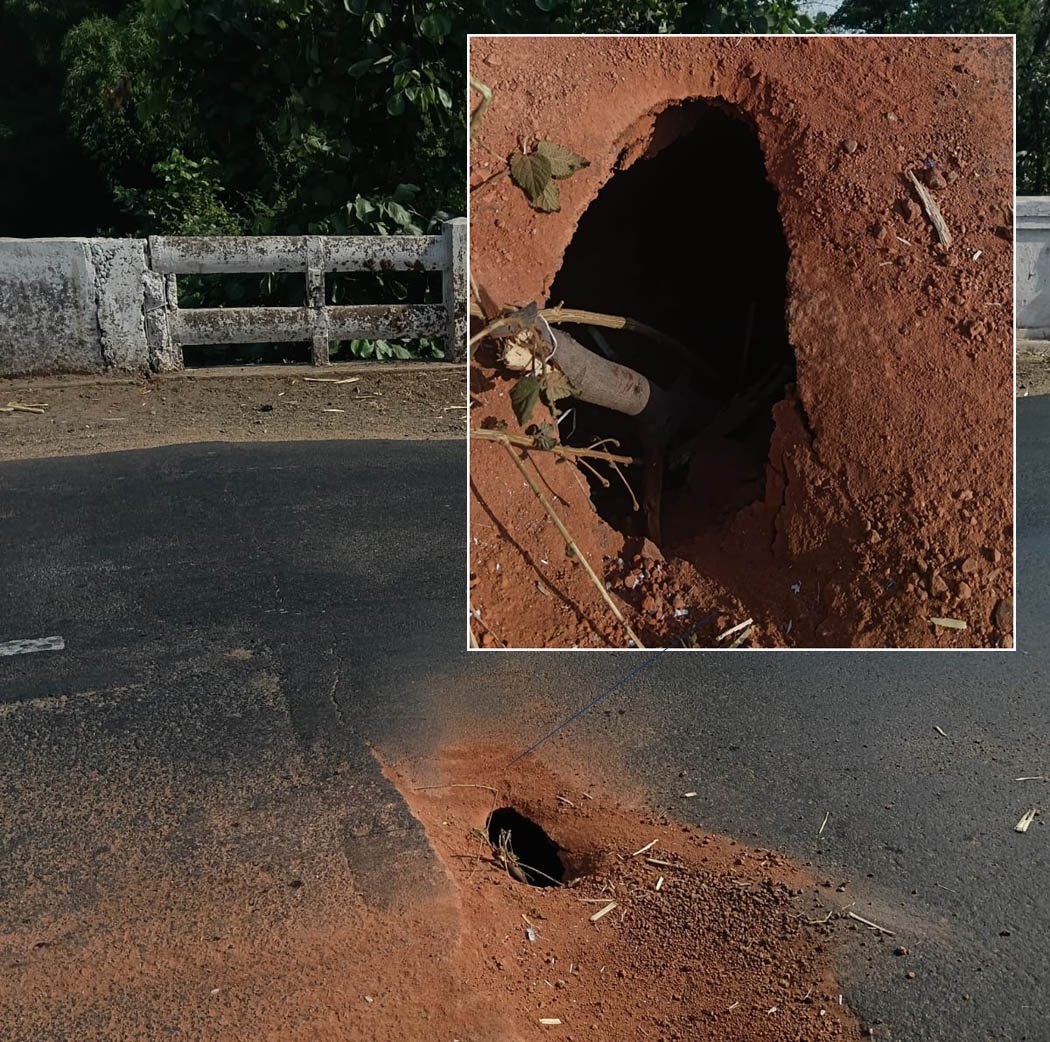 Not a road, but a death trap! The administration is waiting for a major accident on the Bhilatdev Lugchi River Bridge.