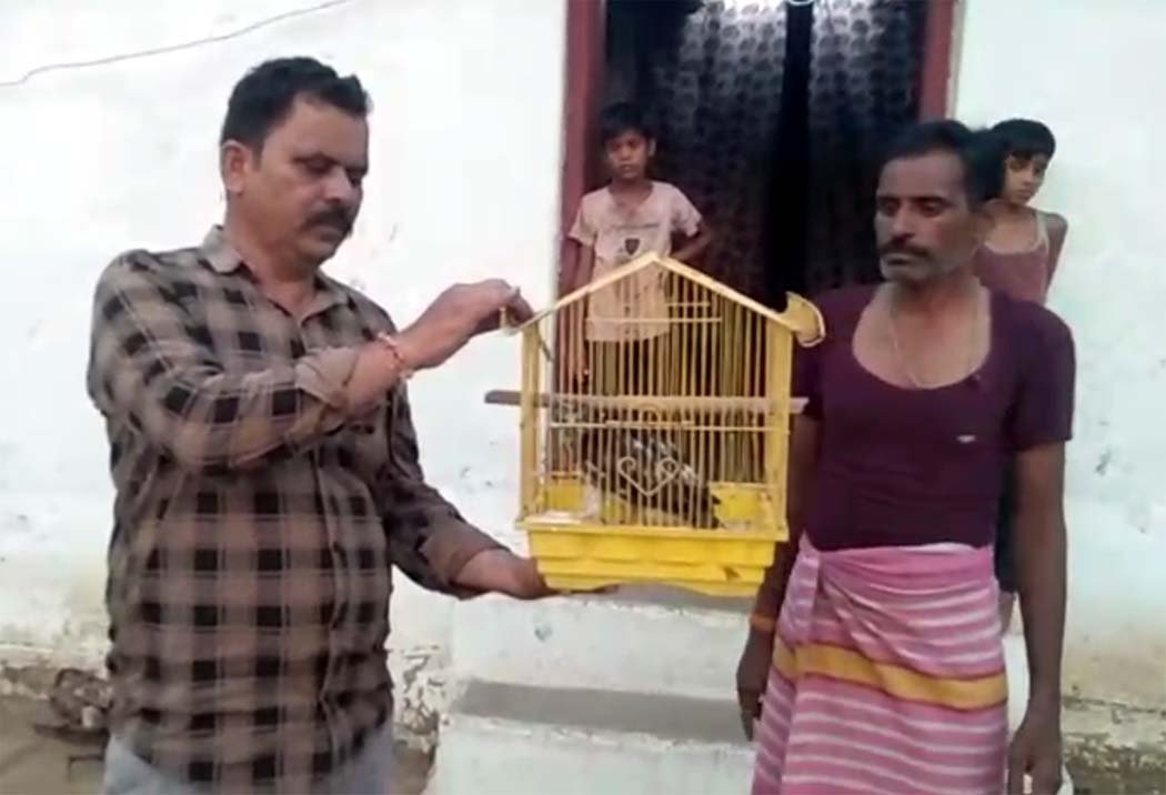 Commendable: Farmer rescues eaglets lost in a storm and hands them over to the forest department.