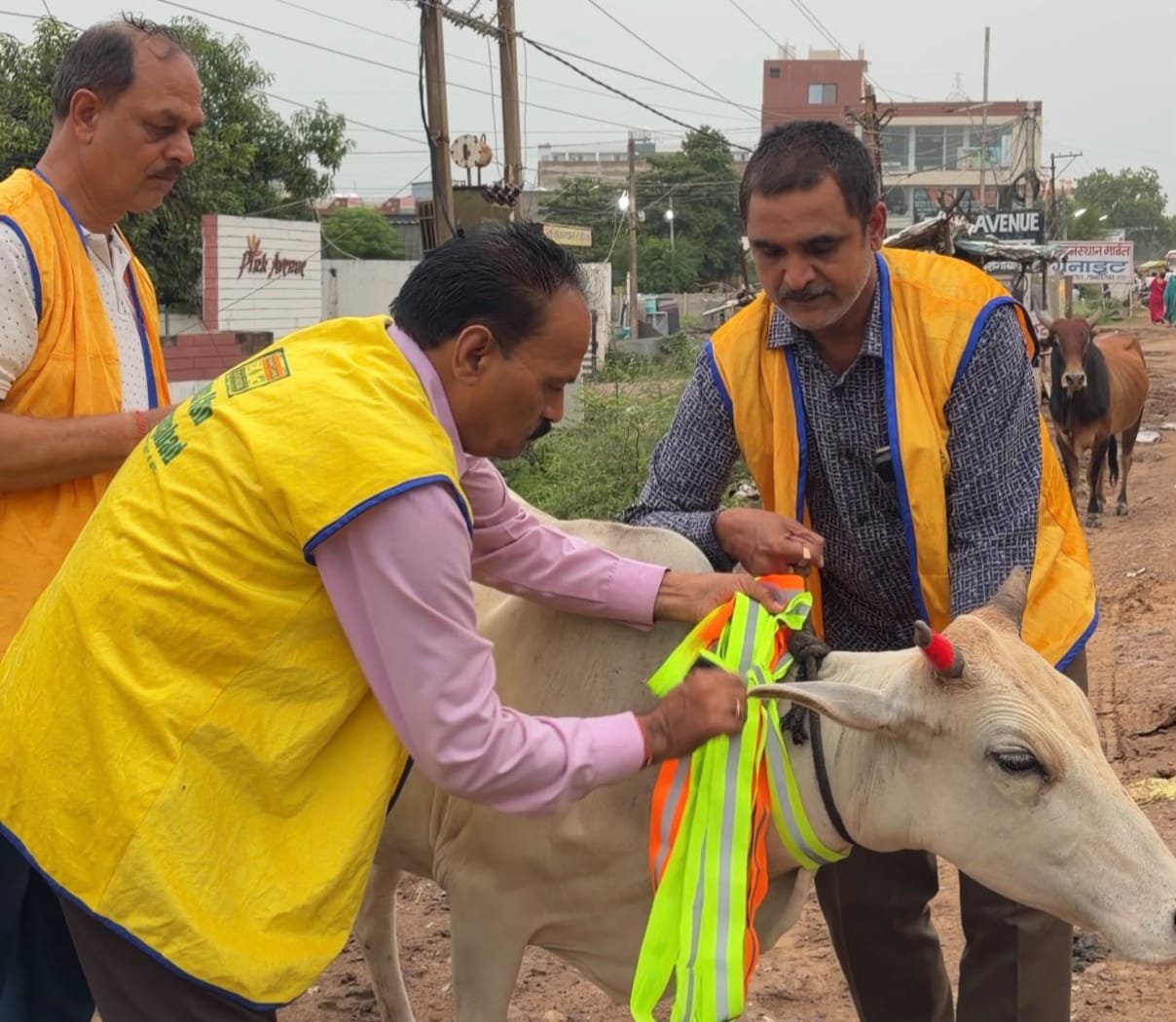 'Radium Shield' to protect cattle from road accidents: A unique initiative by the police and Lions Club.