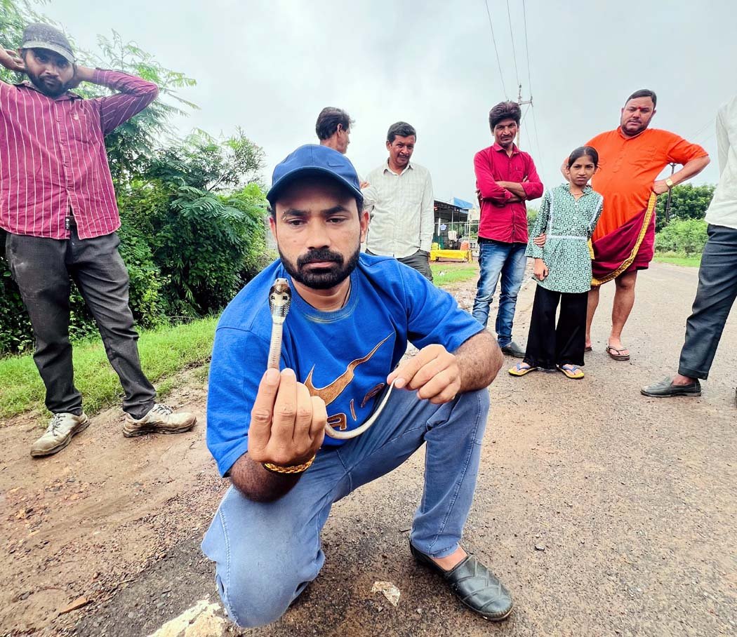 'Baby Cobra' falls into water tank; Forest Department and snake rescuers carry out a safe rescue.